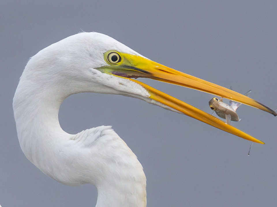 Gary Uhler_Photo Contest Winner